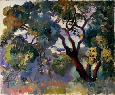Paisaje en Saint-Tropez, 1905 de Henri Manguin