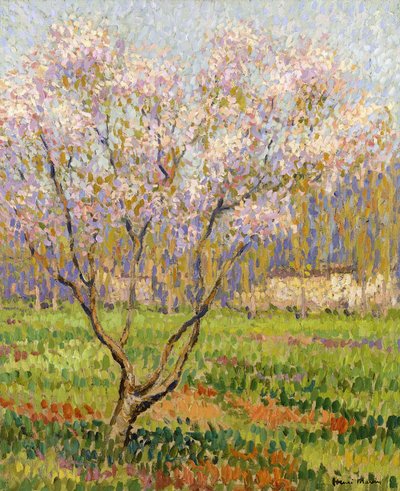 Manzano en flor de Henri Martin