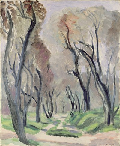 Avenida de los Olivos de Henri Matisse