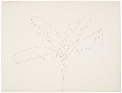 Platanero (Tahití) de Henri Matisse