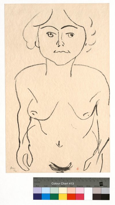 Desnudo de frente, vista desde arriba de Henri Matisse