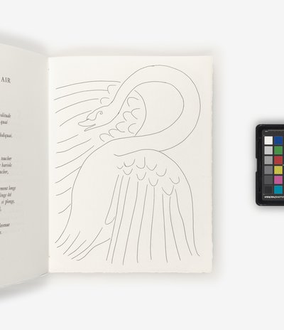 Poesía de Henri Matisse