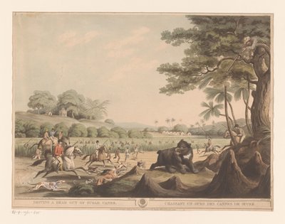 Caza de osos en la India de Henri Merke