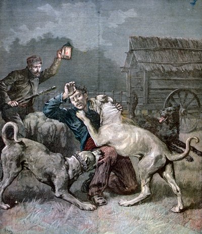Un criminal atacado por tres perros grandes, 1891 de Henri Meyer