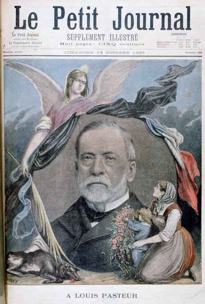 Louis Pasteur, químico francés, 1895 de Henri Meyer