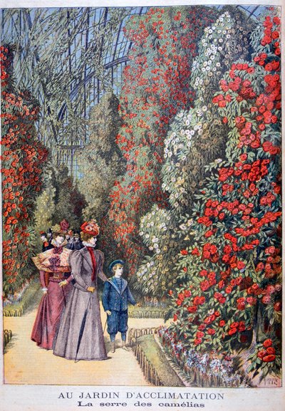 El invernadero de las camelias, jardines zoológicos, París, 1897 de Henri Meyer