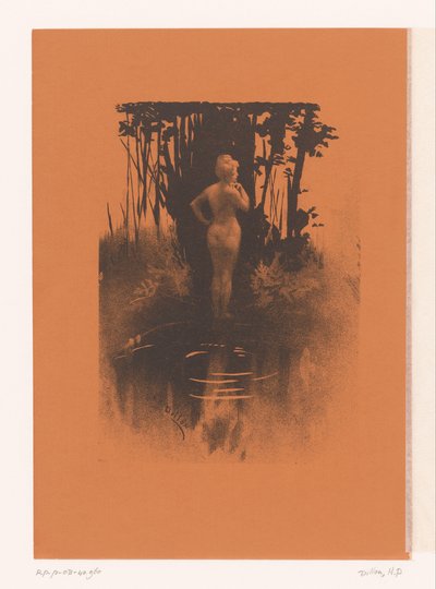 Bañista en la naturaleza de Henri Patrice Dillon