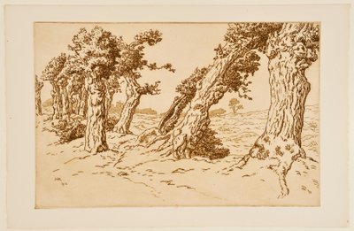 Knotige Baumstämme de Henri Rivière