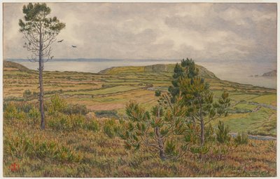  de Henri Rivière