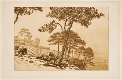  de Henri Rivière