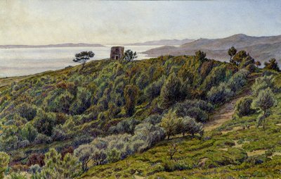La Torre Vieja y las Islas de Hyeres de Henri Rivière