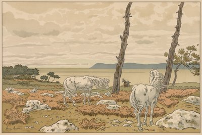 Aspectos de la Naturaleza: La Bahía de Henri Rivière