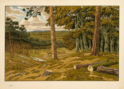El Bosque de Henri Rivière