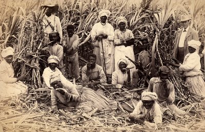 Cortadores de caña de azúcar, Jamaica de Henri S. Duperly