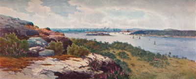 Sídney desde Vaucluse de Henri Tebbitt
