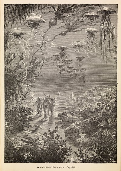 Un paseo bajo las aguas" de "20 000 leguas de viaje submarino", c.1870 (grabado) de Henri Theophile Hildibrand