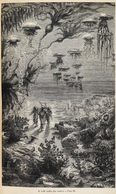 Ilustración de "20 000 leguas de viaje submarino" de Julio Verne de Henri Theophile Hildibrand