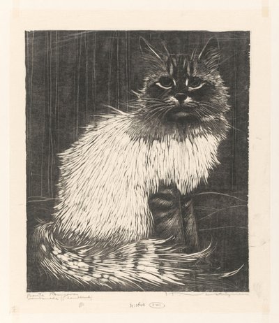 Bonte Angora (título original del objeto) de Henri Verstijnen (signed by artist)