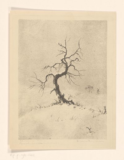 Eenzame boom (título original del objeto) de Henri Verstijnen (signed by artist)