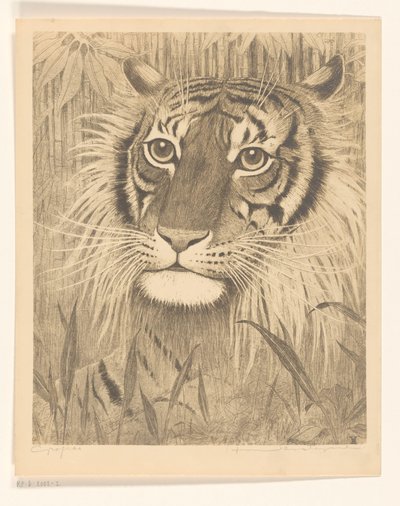 cabeza de un tigre de Henri Verstijnen (signed by artist)