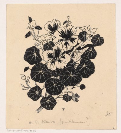 capuchina de Henri Verstijnen (signed by artist)