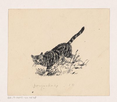 Kat de Henri Verstijnen