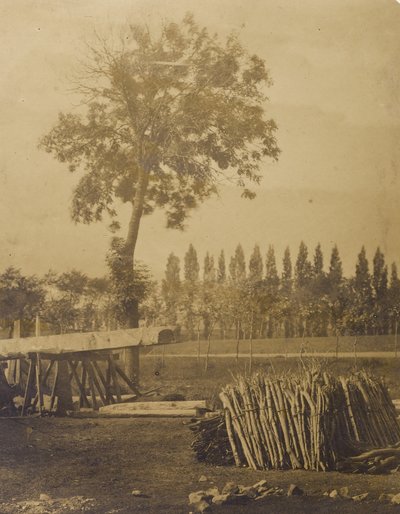 [Paisaje con fardos de ramas de árbol cortadas] de Henri Victor Regnault