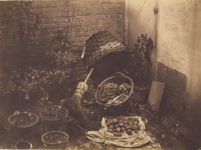[Bodegón con cestas de paja, escoba, saco de patatas abierto y plantas en maceta]. de Henri Victor Regnault
