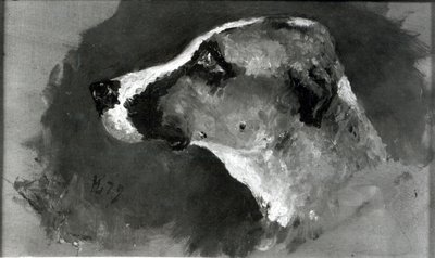 Cabeza de un perro con orejas cortas, 1879 de Henri de Toulouse Lautrec