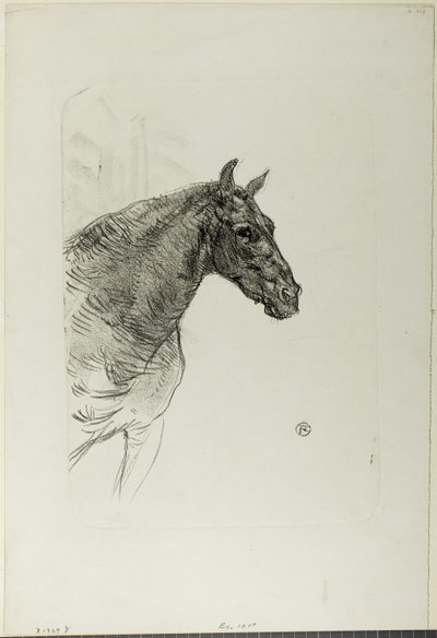 Philibert el pony de Henri de Toulouse Lautrec