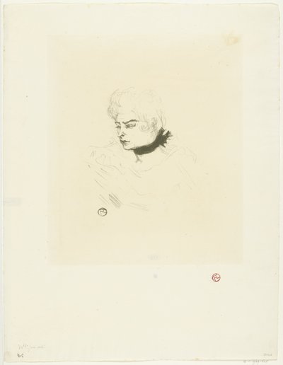 Retrato de Mademoiselle Pois Vert
Mademoiselle Pois Vert de Henri de Toulouse Lautrec