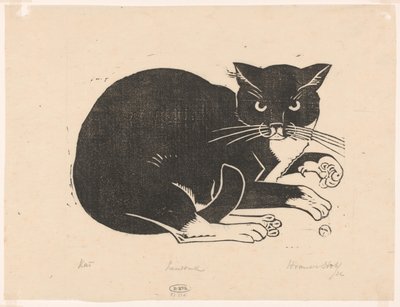 Kat (título original del objeto) de Henri van der Stok (signed by artist)