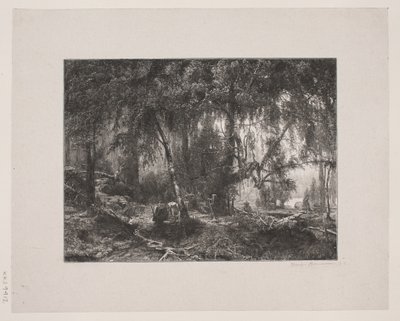 Danés: Interior del bosque de Henrik Bornemann