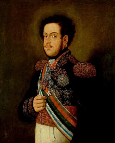Retrato de D. Pedro I de Henrique Jose da Silva
