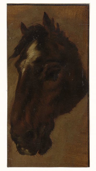Cabeza de caballo de Henriëtte Ronner