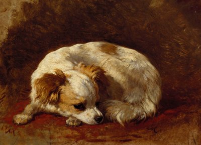 Un Papillon de Henriëtte Ronner Knip