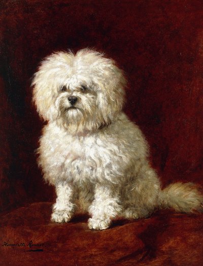 Un caniche de Henriëtte Ronner Knip