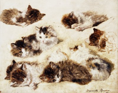 Un estudio de gatitos, 1898 de Henriëtte Ronner Knip