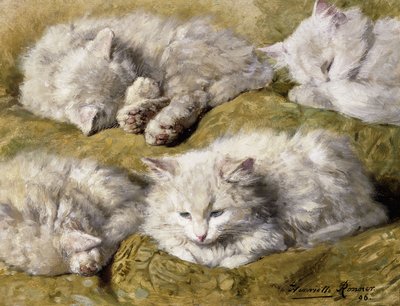 Estudios de un gato blanco de pelo largo, 1896 de Henriëtte Ronner Knip
