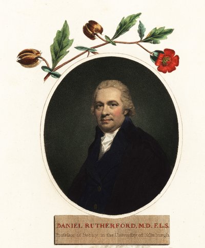 Retrato de Daniel Rutherford, botánico.1805 (grabado) de Henry (after) Raeburn