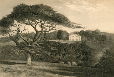 Colina del Molino de Viento de Henry Alexander Ogg