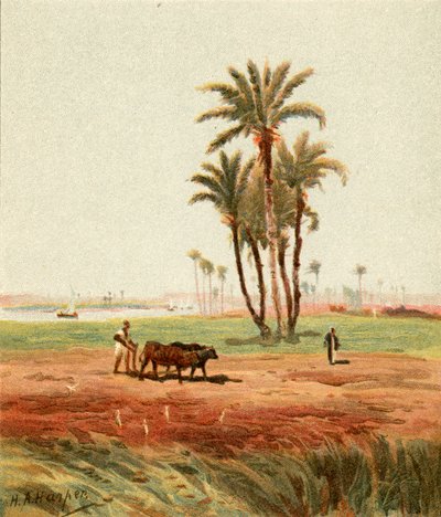 En el campo de Henry Andrew Harper