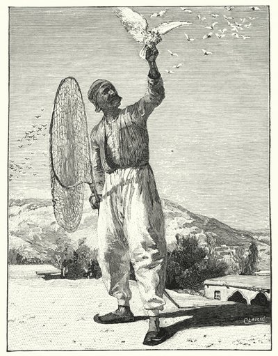 Cazando pájaros en el tejado en el Este de Henry Andrew Harper