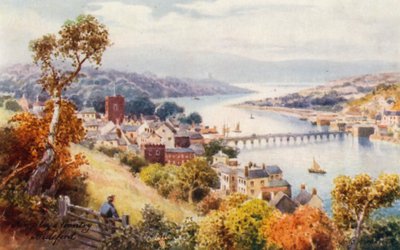 Bideford y Bridge (litografía en color) de Henry B. (after) Wimbush