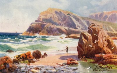 The Capstone, Ilfracombe (litografía en color) de Henry B. (after) Wimbush