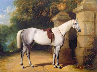 Un Caballo Gris junto a las Puertas del Parque, 1851 de Henry Barraud