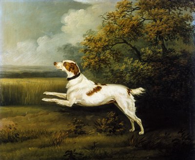 un springer spaniel en un paisaje de Henry Bernard Chalon