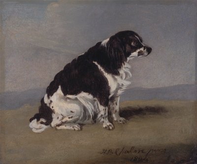 El Spaniel de la Duquesa de York de Henry Bernard Chalon