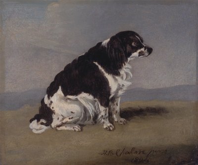 El spaniel de la duquesa de York de Henry Bernard Chalon