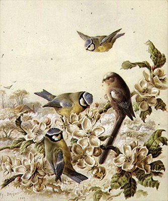 Ladrones de huertos de Henry Bright